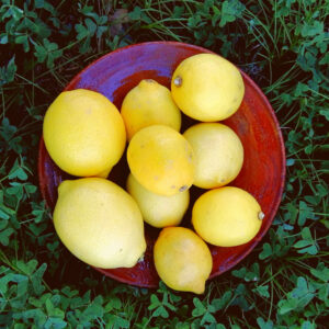 LIMÓN 1 kg