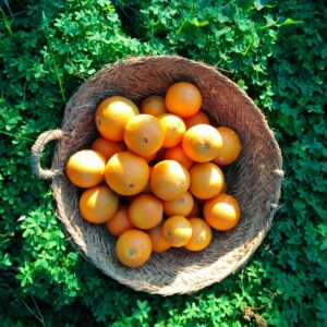 NARANJA 10 kg.