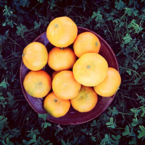 MANDARINA 1 KG