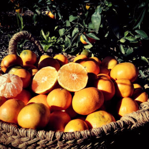 MANDARINA 3 kg