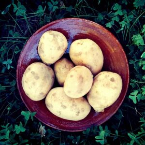 PATATA 1 kg