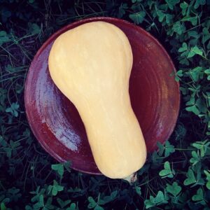 CALABAZA CACAHUETE pieza - 2 kg (2€ precio kg)