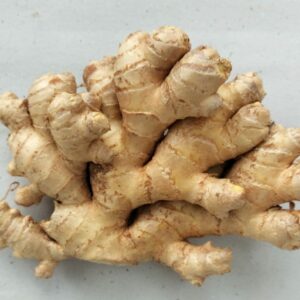 JENGIBRE 150 gr.