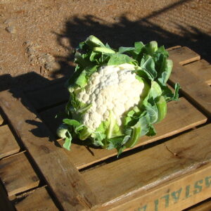 COLIFLOR unidad