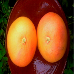 POMELO 1 kg