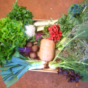 CESTA VERDURAS