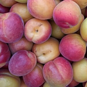 ALBARICOQUE 1 kg