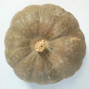 CALABAZA ASAR  kg