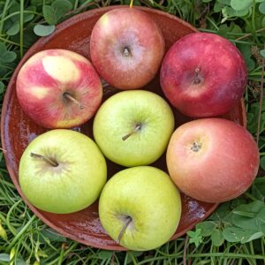 MANZANA MIXTA 1 kg