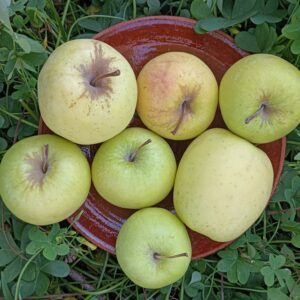 MANZANA GOLDEN  1 kg