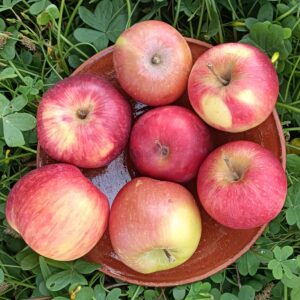 MANZANA ROJA  1 kg