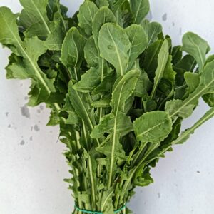 ACHICORIA manojo