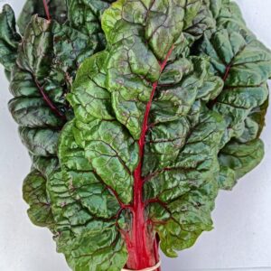 ACELGAS ROJAS manojo