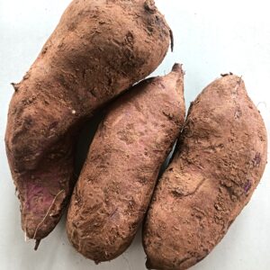 BONIATO MORADO 1 kg