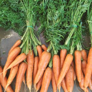 ZANAHORIAS manojo