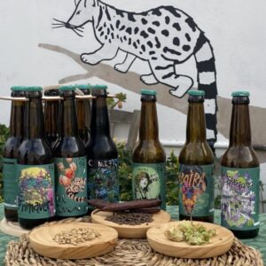 PACK DEGUSTACIÓN CERVEZAS ARTESANALES 6 uds