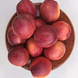 NECTARINA 1kg