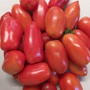 TOMATE PERA 1 kg