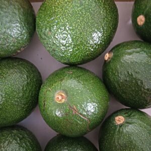 AGUACTE REED 1 kg