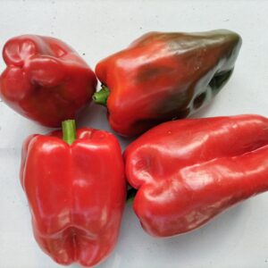 PIMIENTO 4 CANTOS ROJO 1/2 Kg
