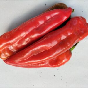 PIMIENTO ITALIANO ROJO 1/2 Kg