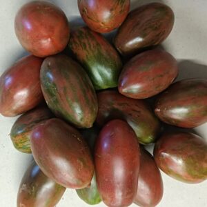 TOMATE PERA RALLADO 1 kg