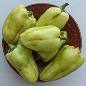 PIMIENTO VERDE CLARO  1/2 KG